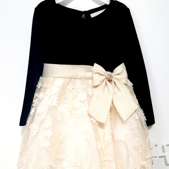 Rare Editions Beautiful Baby Girl Formal Velvet Lace Dress 24M - Picture 2 of 12